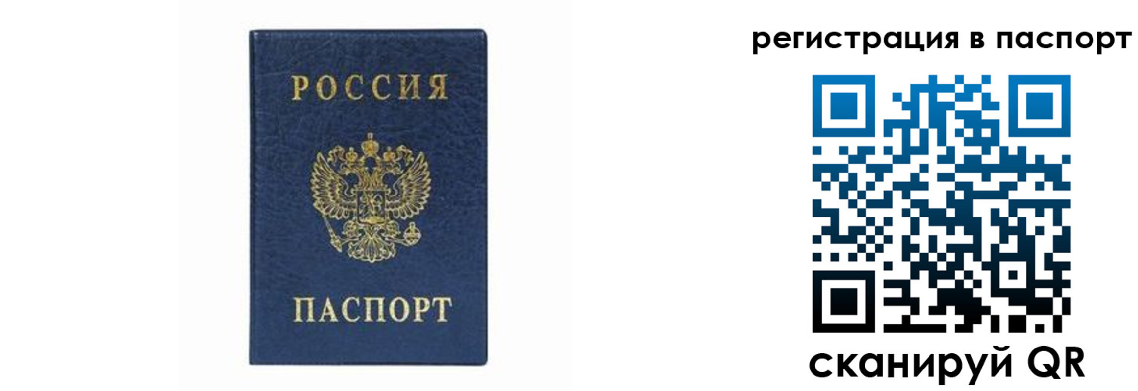 форма 3 в Калининградской области